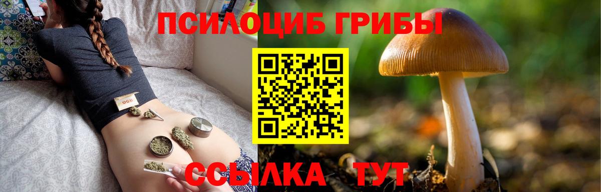 Псилоцибиновые грибы Psilocybine cubensis  Вход с VPN  Сыктывкар 